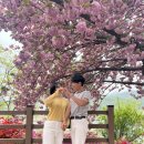 완산-124 이미지