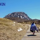 라디언스(주) 이미지