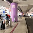 미국 - 허츠 렌트카 로스앤젤레스 LAX 공항 지점 후기 / A6 Manager&#39;s Special 2 or 4 Door / 닛산...
