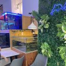 리틀 블루문 | [미사역 카페] 리틀블루문 / 미사 아쿠아리움 카페 추천