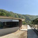 빌라누트 이미지