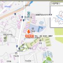 일화성 이미지