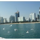 장흥 3리 이미지