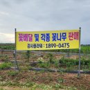 인주농장 | 파이프타공기(파이프항타기) 셀프제작과 사용 후기