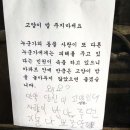 달리는체리마루