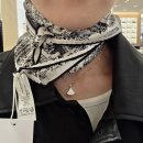 차밍헤어 | 디올 다이아몬드 스카프 차밍가든, 플랑 드 파리 착용 후기