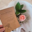 강쌤빌드업 | The ACCORD Cellos - Fall in Cello 뒤늦은 후기