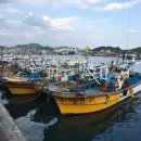 국동 장어탕, 횟집거리 이미지