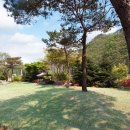 진여울펜션 이미지