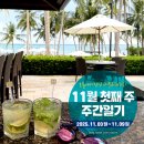 2025년 11월 첫째 주 주간일기