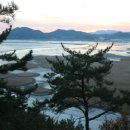 순천만습지 이미지