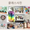 샐리솝