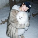 댕댕부티크
