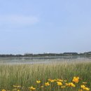 CU경포비치점 이미지