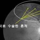 부평안병원