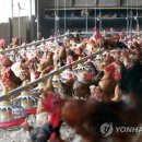 한씨농장 이미지