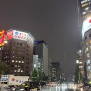 로얄수족관 | [수족관 탐방] 일본 도쿄 파우파우 아쿠아 가든 긴자 Paupau Aqua Garden Ginza