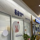 튼튼영어 베이비리그 화성동탄오산센터 무료체험 수업후기