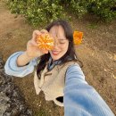 나를 위한 꽃한다발+리스 | 제주도 동백꽃 명소 12월 1월 서귀포 여행 가볼만한곳 휴애리 축제