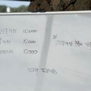 오늘은 회 이미지