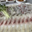 죽도해삼 이미지