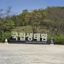 더타이어샵 서천점 | 서천 국립생태원 4번째 방문 후기 / 아이랑 가기 좋은 힐링 여행지