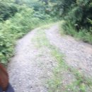 전원사슴농장 이미지