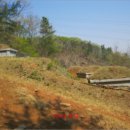 번영로217번길 이미지