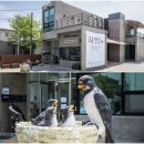세계항공여행사주 이미지