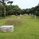 갈치호수길 이미지