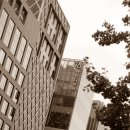 아이디병원 이미지