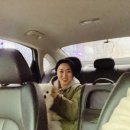 상목도 Daum카페