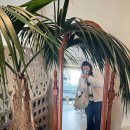천안 쌍용동 식물성 두피케어샵 💈 &#34;살롱다원&#34;