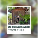 산골농장 | 영월 청령포 꽃피는산골 카페 🌿 어버이날 화분 사기 좋은 곳