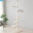 오로라 캣 이미지