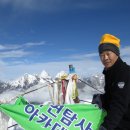 정상 이미지
