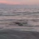 제주도 2025가을일기 4. 가을의 폭우 속 제주도단상 이미지