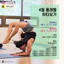하타요가 기초(All Level) 이미지