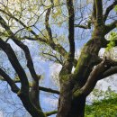 고속터미널앞 이미지