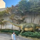 (주)신세계백화점 센텀시티몰 이미지