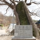 승문 이미지