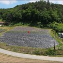 남면농장 이미지