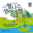 자연마주