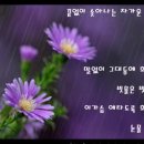 매화다방 이미지
