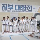 합기도 주짓수 블루드래곤 이미지