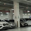 이플치과의원 이미지