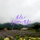 송림팜