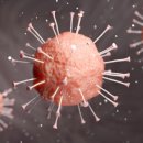 메디칼이비인후과의원 이미지