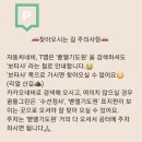 재주농장 | 창원 꿈틀그린 키위나무석 후기｜아이와 자연에서 하루 종일 놀기 좋은 곳, 예약 방법까지