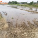 도대2리마을회관 이미지